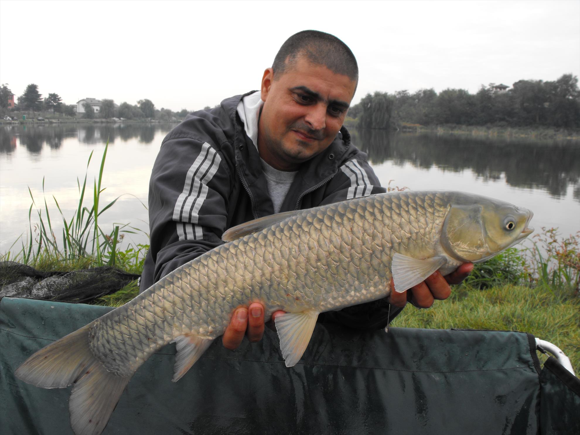 Hermes Peris 19 - 20 septembrie 2014 - dscf1012.JPG